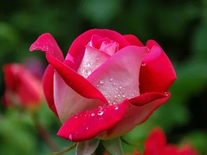 The Illusion Of Control - June 01