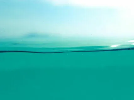 The Illusion Of Movement With Dean Graves