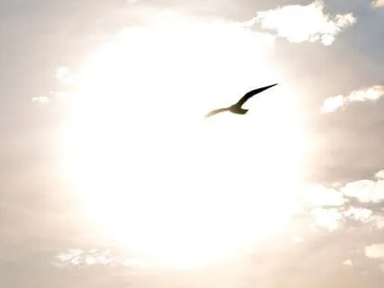 The Illusion Of Time: Finding Peace In The Present Moment