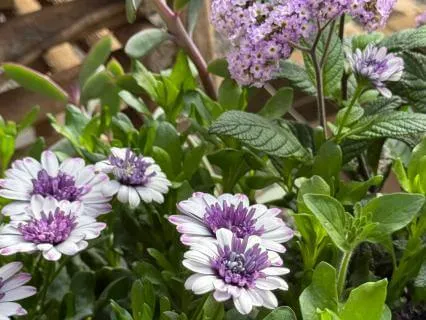 The Importance If Staying Positive In These Times