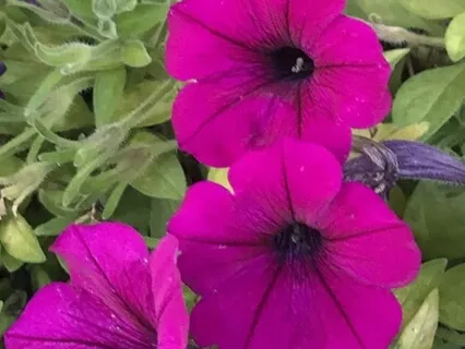 The Importance Of  A Body Scan