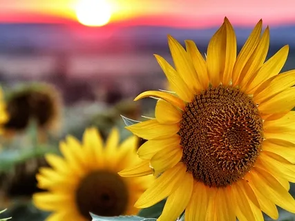 The Importance Of Cultivating Relaxation And Presence