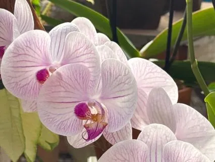 The Importance Of Good Intent