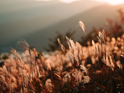 The Importance Of Grounding