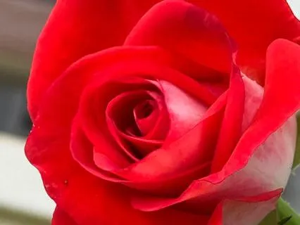 The Importance Of Having Right Intent