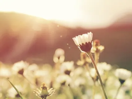 The Importance Of Renewal, Growth & Change