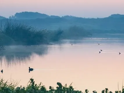 The Importance Of Self-Reflection