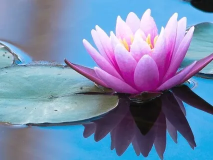 The Importance Of Silence