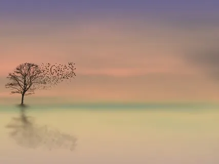 The Importance Of Your Nervous System & Your Stress Physiology