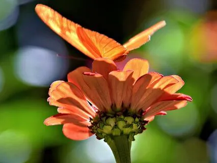 The Infinite Love Within You