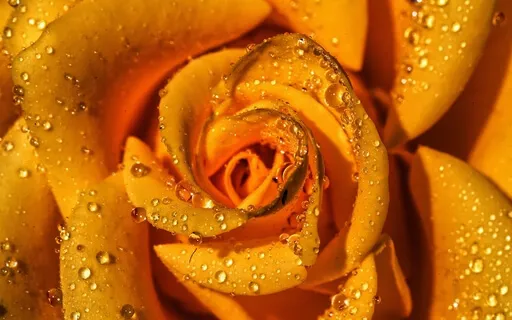 The Infinite Resource Of Pleasure