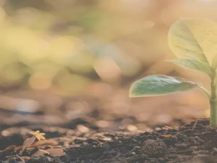 The Inner Garden: Affirmations To Reset & Bloom From Within