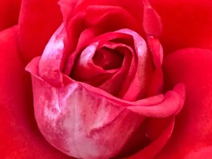 The Inner Growth Reflected In Your Outer Life