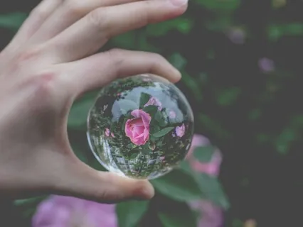 The Inner Journey - Morning Mindfulness