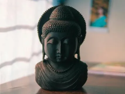 Insights From The Source