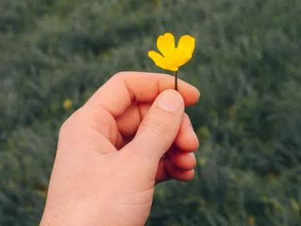 The Inner Voice I Trust