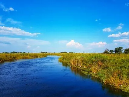 The Interdependence Of Mind And Breath