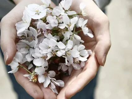 The Internal Space Connecting To All