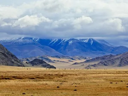 The Interview: Sas Carey ~ Mongolian Dreams & Shamanic Magic