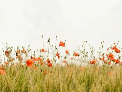 The Interview: Yvette Walker ~ God's Voice & Ours