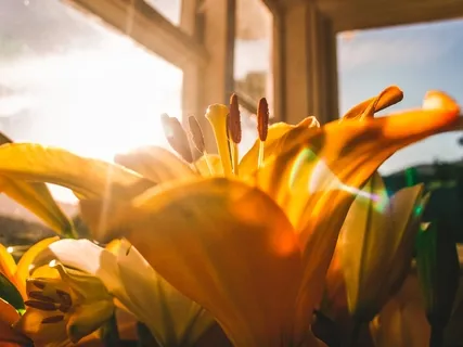 The Intuitive Woman Podcast 