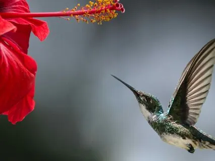 The Invisible Inheritance: Living A Life That Truly Lasts