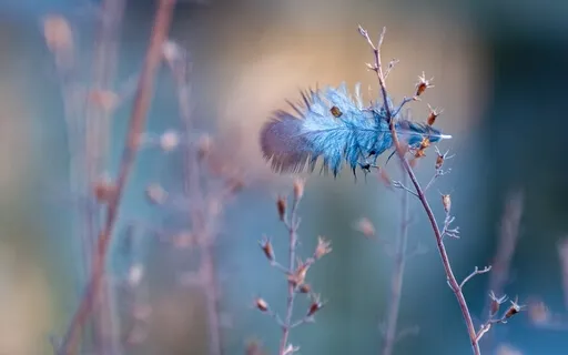 The Invisible Touch Of The Present Moment