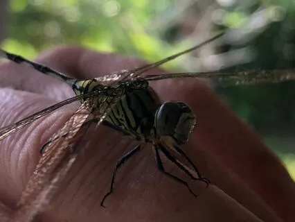 The Invitation | Take Action For Your Wellbeing | Talk