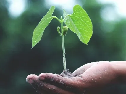 The Invitation To Heal Thyself