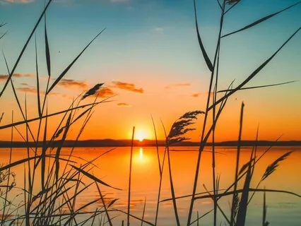 The Invitation To Peace