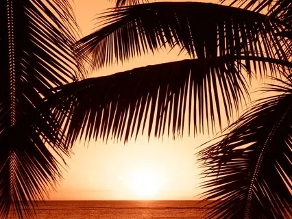 The Island - A Guided Visualisation