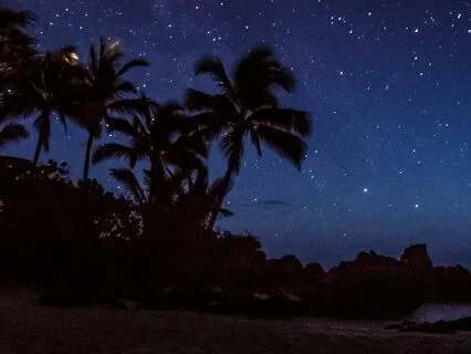 The Island Fairies: Bedtime Story