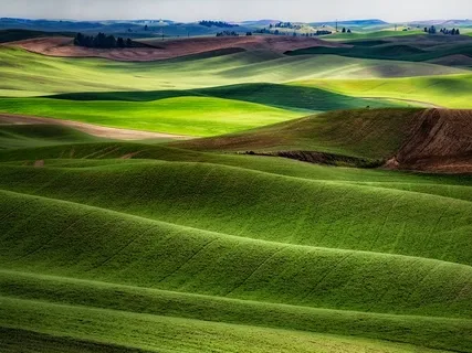 The Jewel Of Loving-Kindness