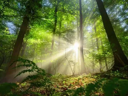 "The Journey", By Mary Oliver.