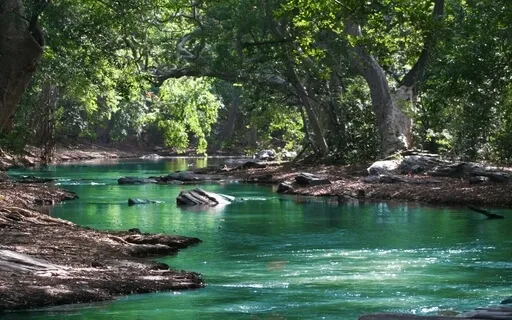 The Journey = Wow - I Love My Life