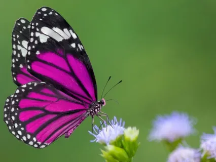 The Journey From Unhealthy Relationships To Incredible Love