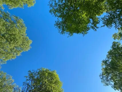 The Journey Inwards Towards Peace