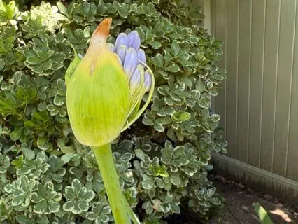 The Journey Is The Destination