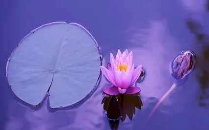 The Journey Of A Thousand Steps ~ Step #2 (Inner-Guide)