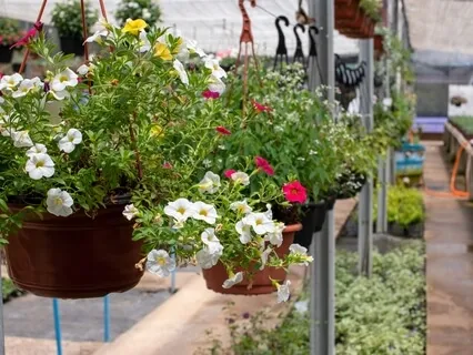 The Journey Of Mindfulness