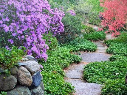 The Journey Of Self-Acceptance