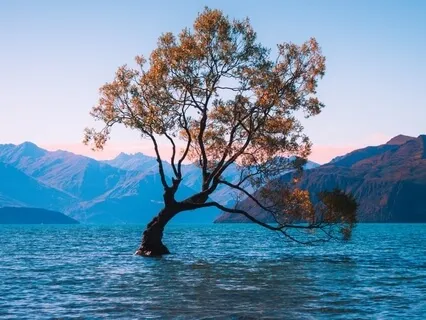 The Journey Of Spirit - A Sound Bath To Inspiration And Transformations