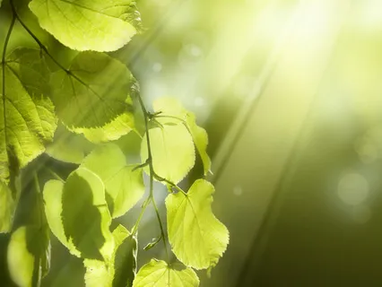 The Journey Of Transformation - The Pillar Of Light