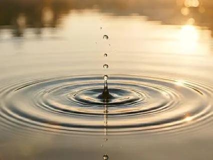 The Journey Of Water: A Guided Visualization Adventure