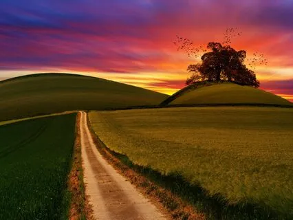 The Journey: Restorative Tibetan Singing Bowls