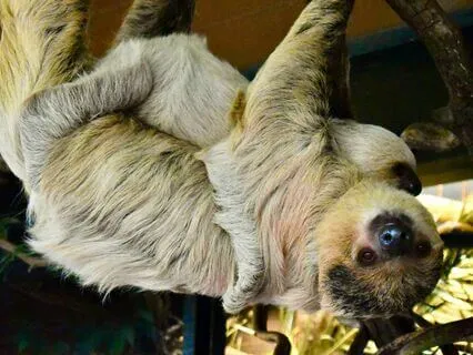 The Journey To A Good Night's Sleep Starts Within