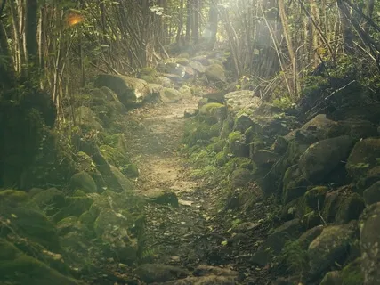 The Journey To Peace