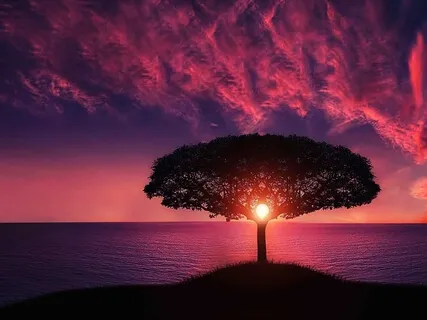 The Journey To The One