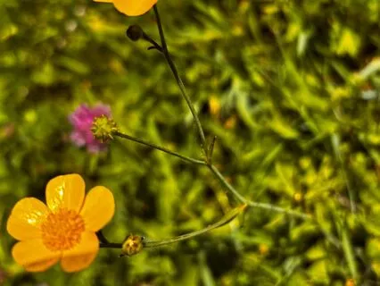 Reconnect With Your True Self: Inner Calm & Clarity