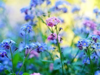 The Joy Of Aging: Awareness